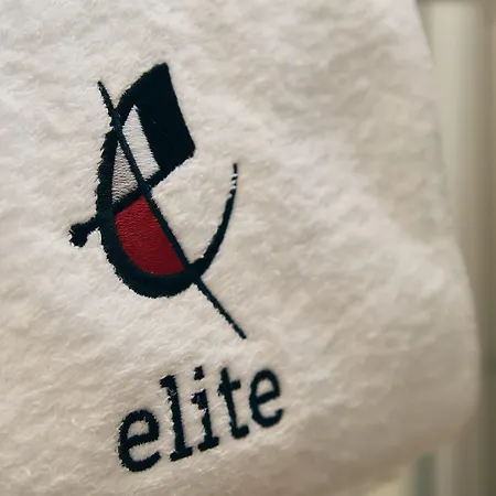 Hotel Elite Visp