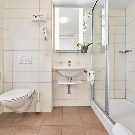 Hotel Elite Visp